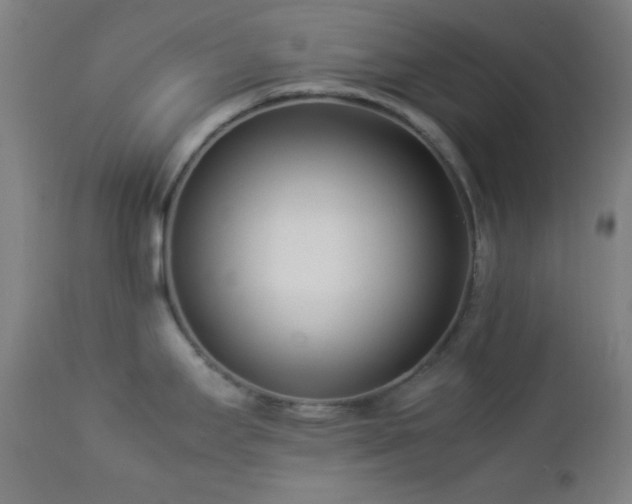 X0000112871295200908211417