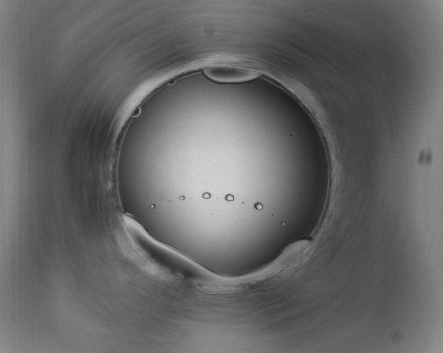 X0000112871296200908211417