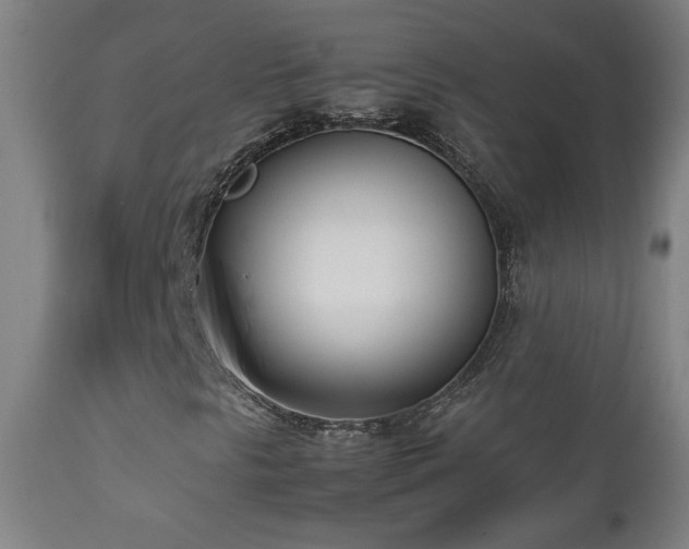 X0000112871297200908211416