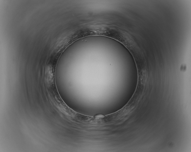 X0000112871298200908211416