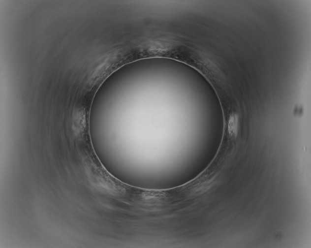 X0000112871299200908211416