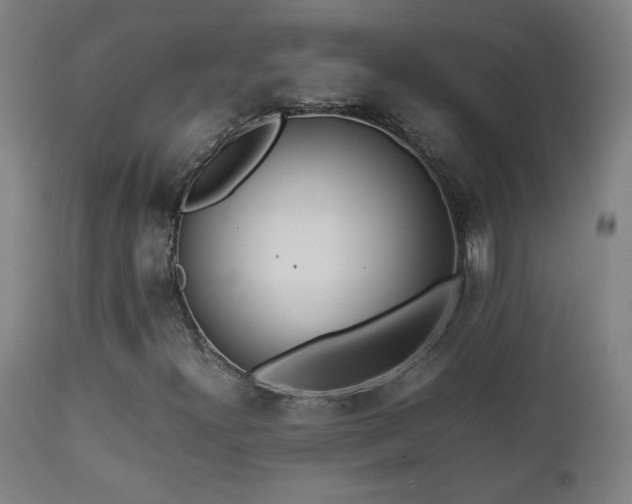 X0000112871300200908211416