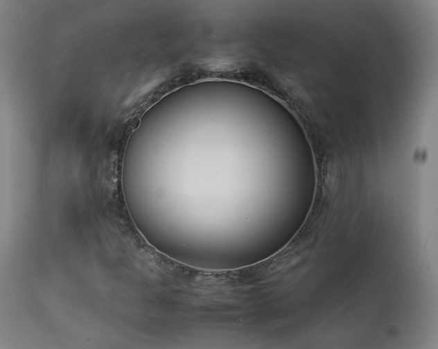 X0000112871301200908211416