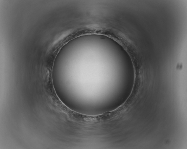 X0000112871302200908211416
