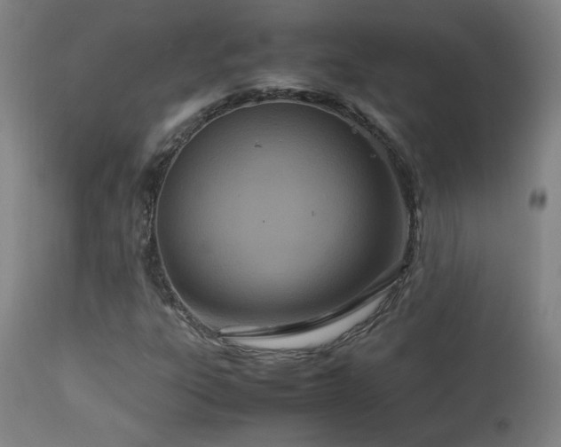 X0000112871303200908211416