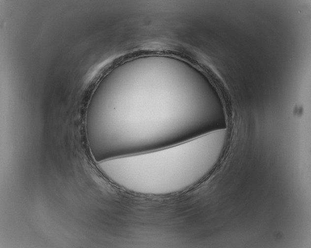 X0000112871304200908211416