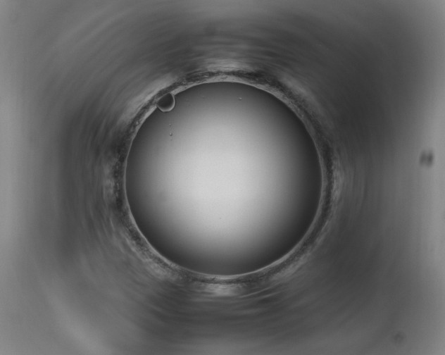 X0000112871305200908211416