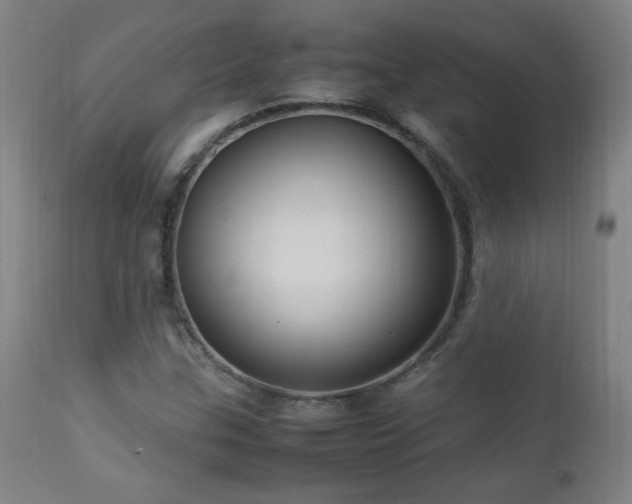 X0000112871307200908211416