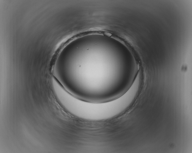 X0000112871308200908211416