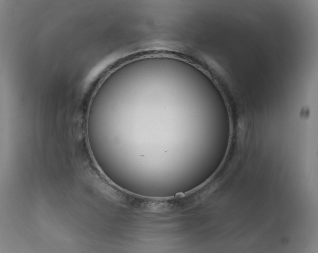 X0000112871310200908211417