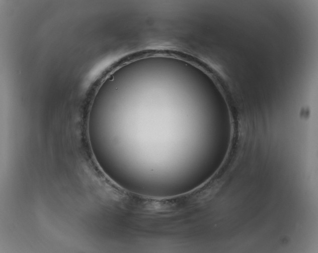 X0000112871311200908211417