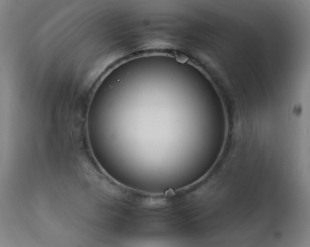 X0000112871313200908211417