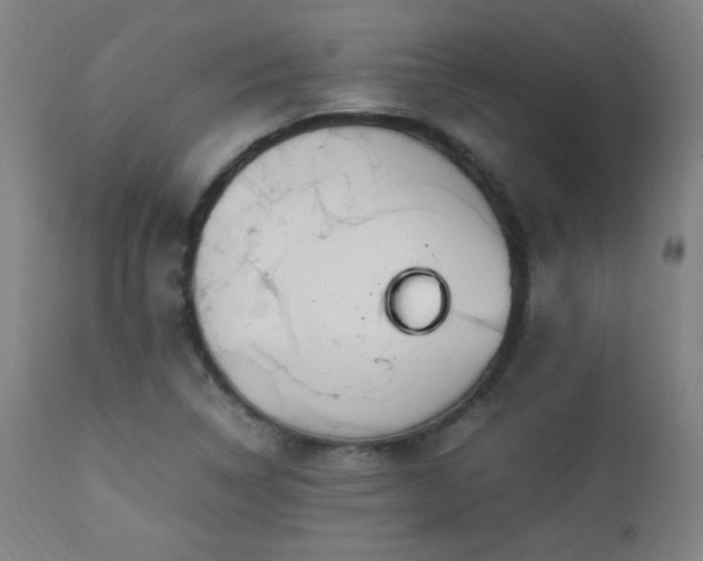 X0000112871314200908211417