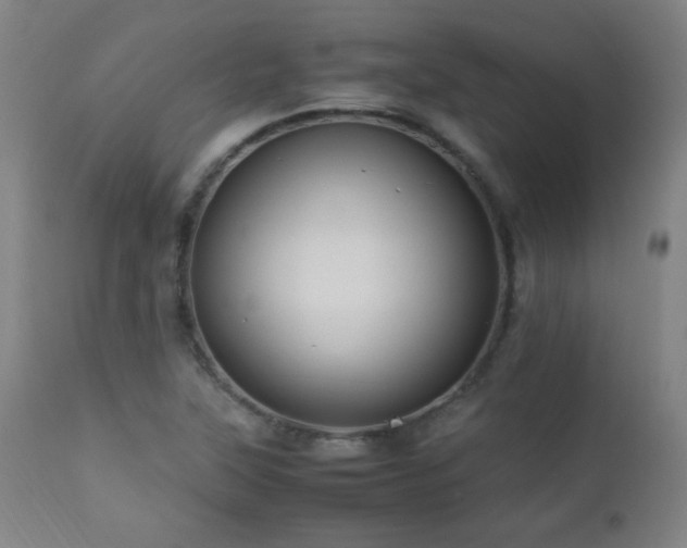 X0000112871315200908211417