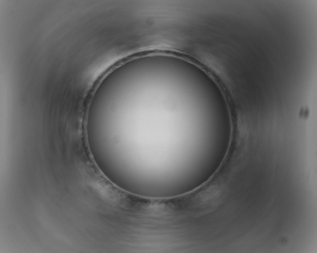 X0000112871316200908211417