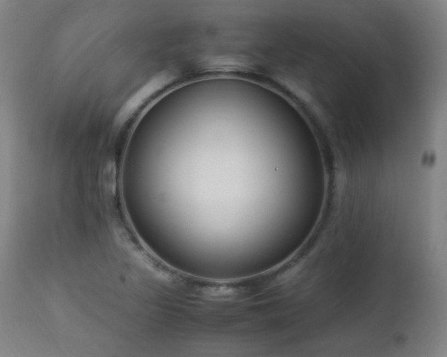 X0000112871317200908211417
