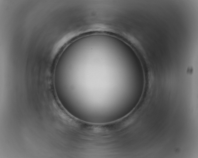 X0000112871318200908211417