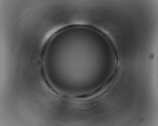 X0000112871319200908211417