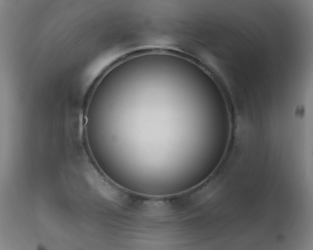 X0000112871320200908211417