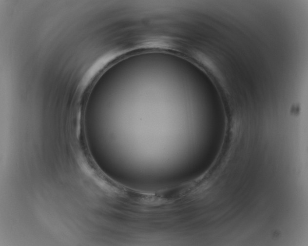 X0000112871323200908211417