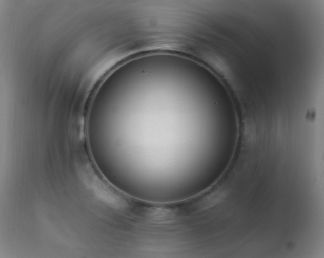 X0000112871324200908211417