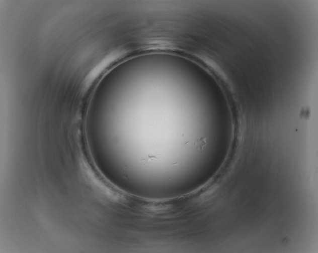 X0000112871325200908211417