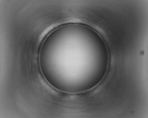 X0000112871326200908211417