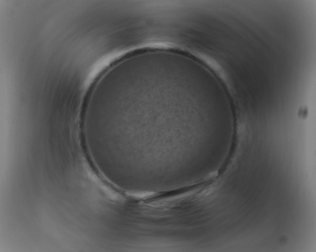 X0000112871327200908211417