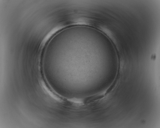 X0000112871331200908211417