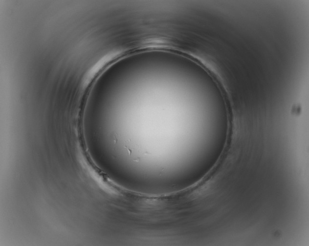 X0000112871333200908211417