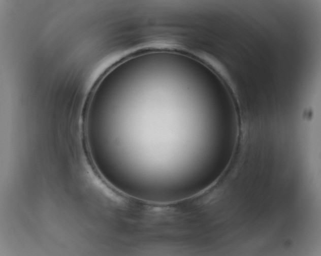 X0000112871335200908211417