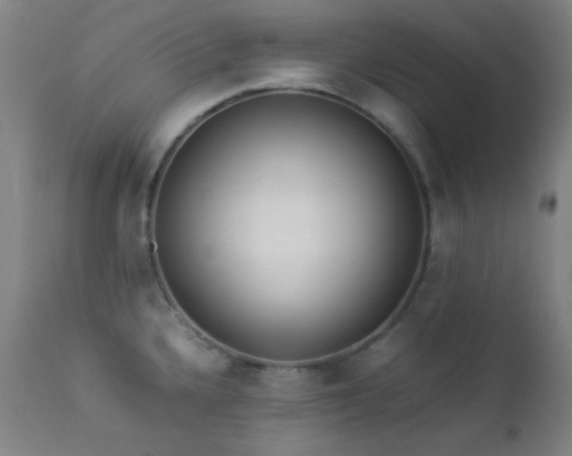 X0000112871336200908211417