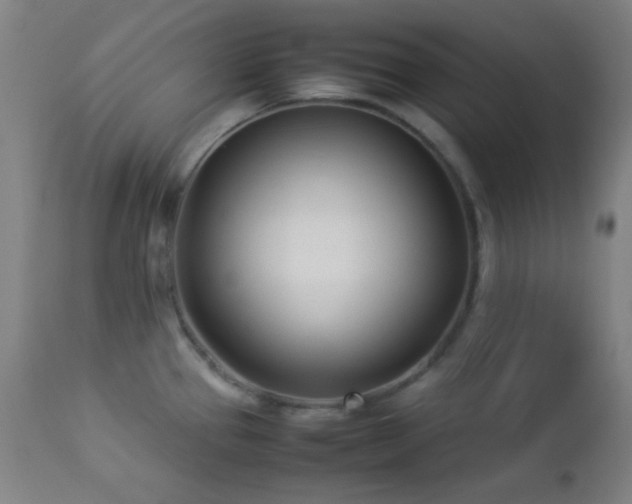 X0000112871337200908211417