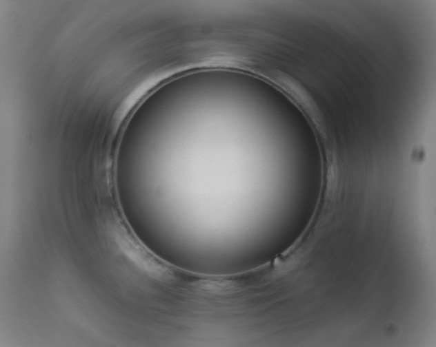 X0000112871340200908211417