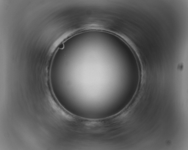 X0000112871341200908211417