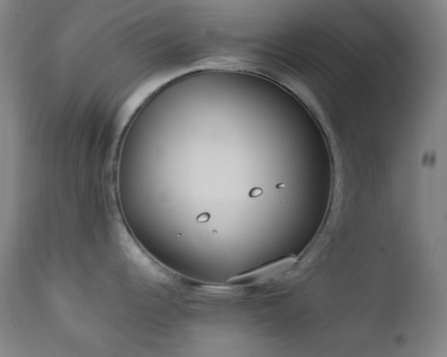 X0000112871344200908211417