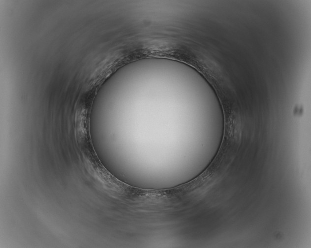X0000112871346200908211416