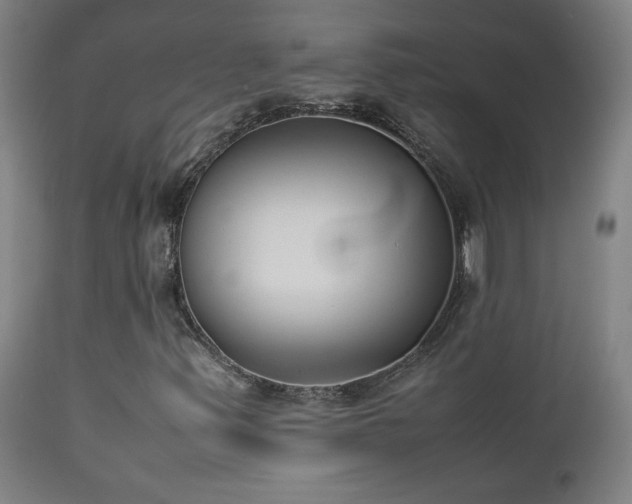 X0000112871347200908211416