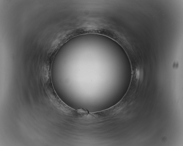 X0000112871348200908211416