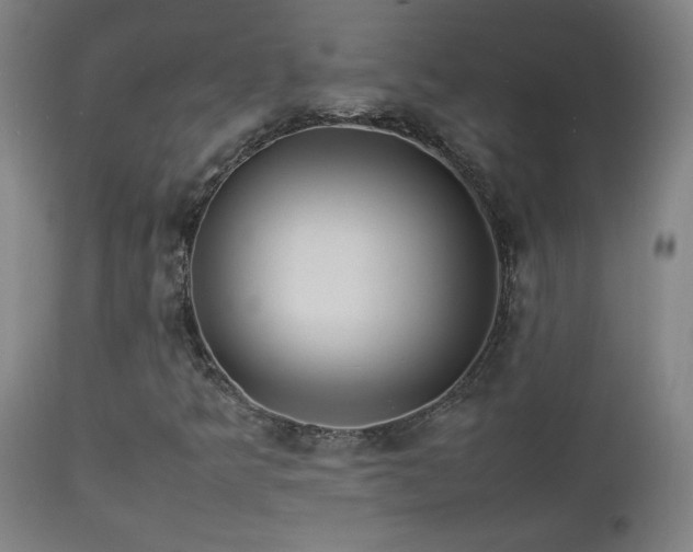 X0000112871349200908211416
