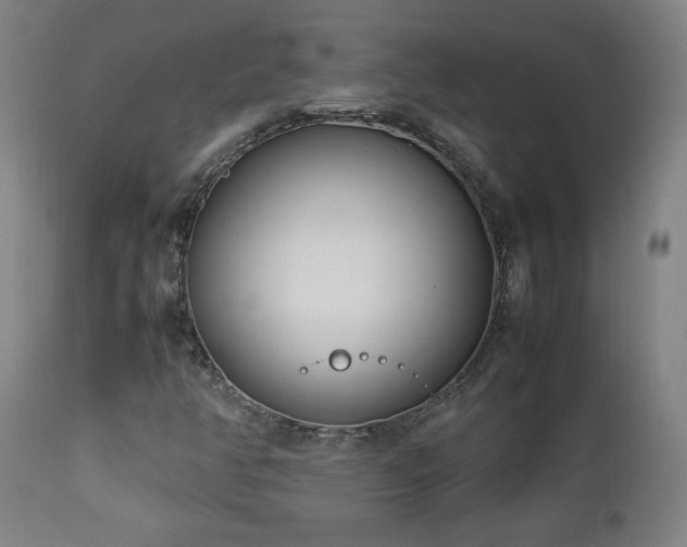 X0000112871350200908211416