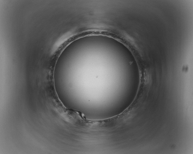 X0000112871352200908211416
