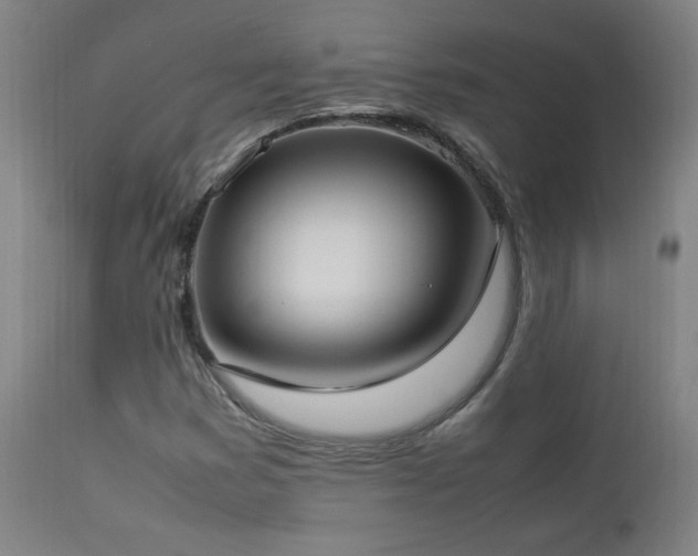 X0000112871353200908211416