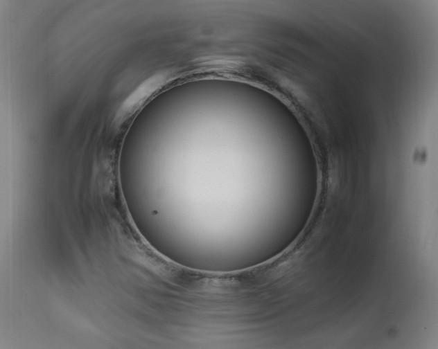X0000112871354200908211416