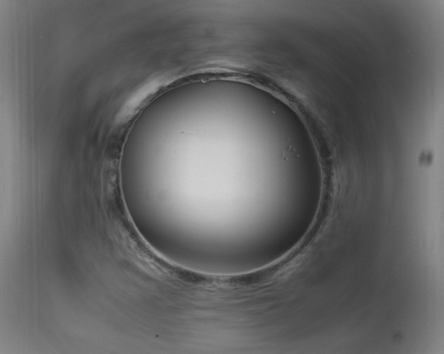 X0000112871355200908211416