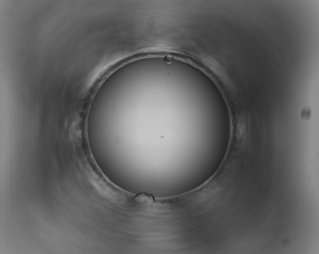 X0000112871356200908211416