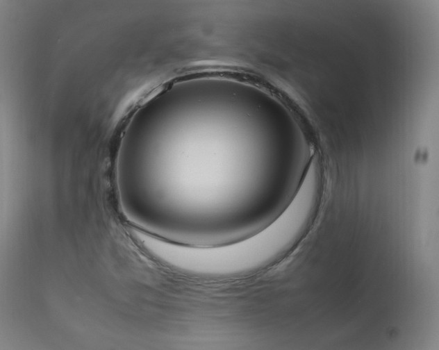 X0000112871357200908211416