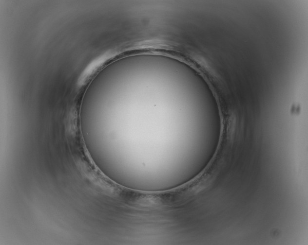 X0000112871358200908211416