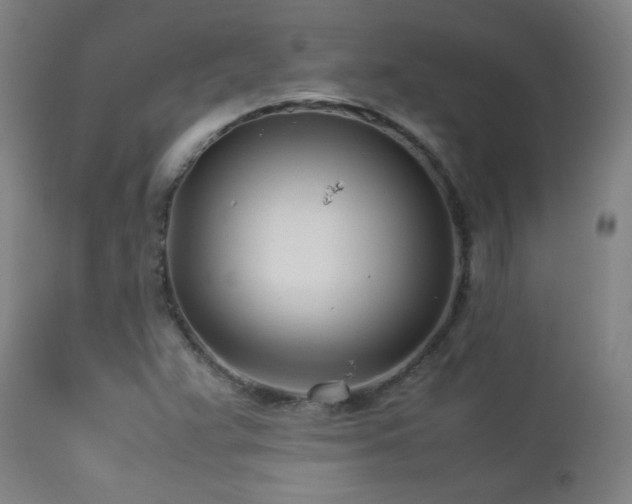 X0000112871359200908211416