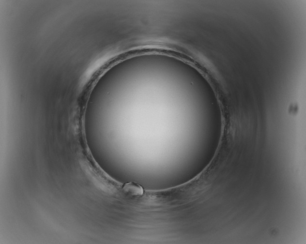 X0000112871360200908211416